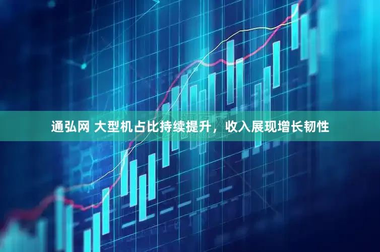 通弘网 大型机占比持续提升，收入展现增长韧性